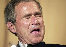 Bush funny face